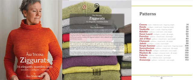 Immagine-Cover-Manuale-Ziggurats